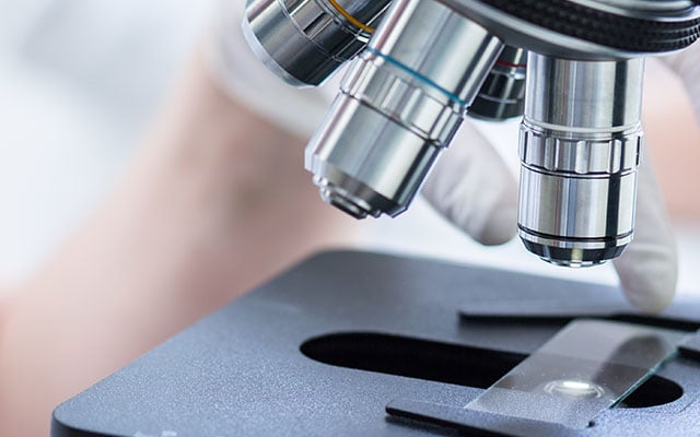 life sciences translation services microscope