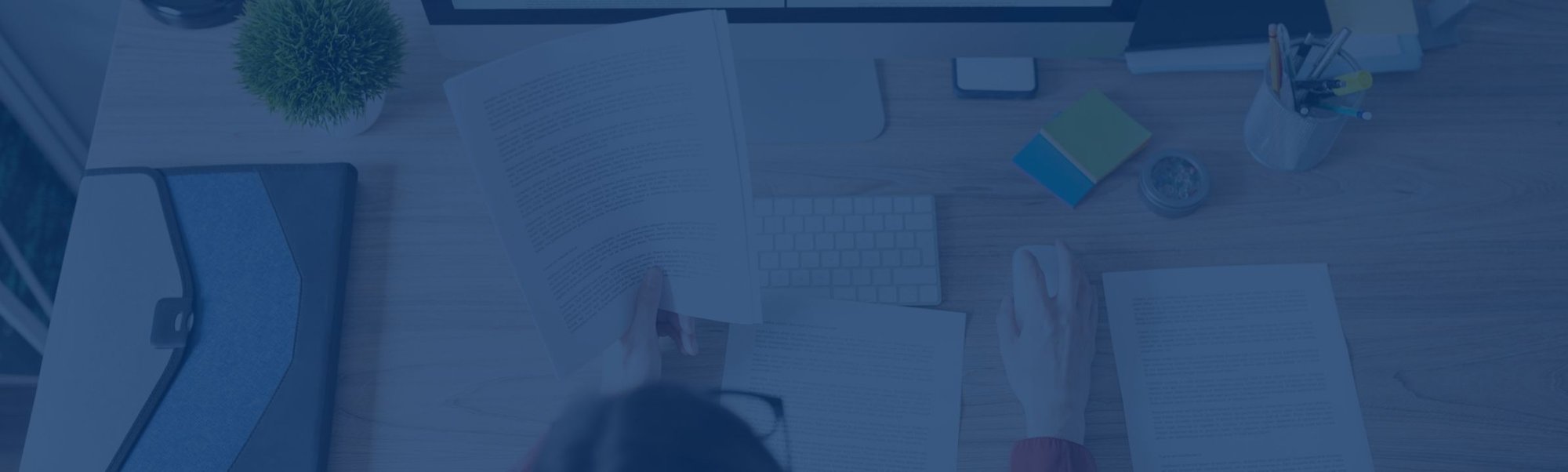 Female translator working on a document
