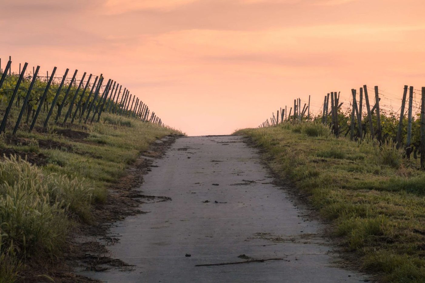 Road Sunset