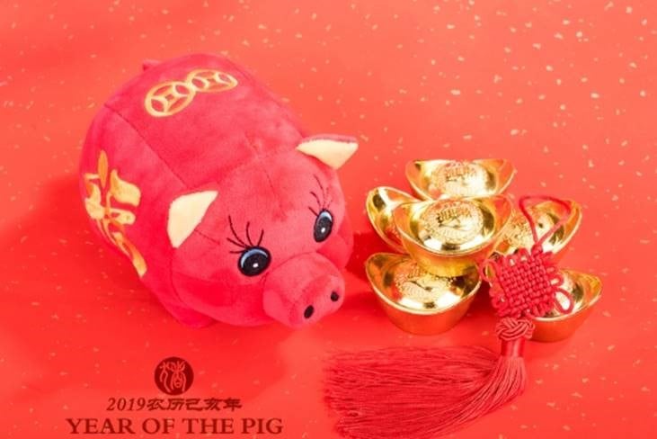 Chinese New Year Year Of The Pig