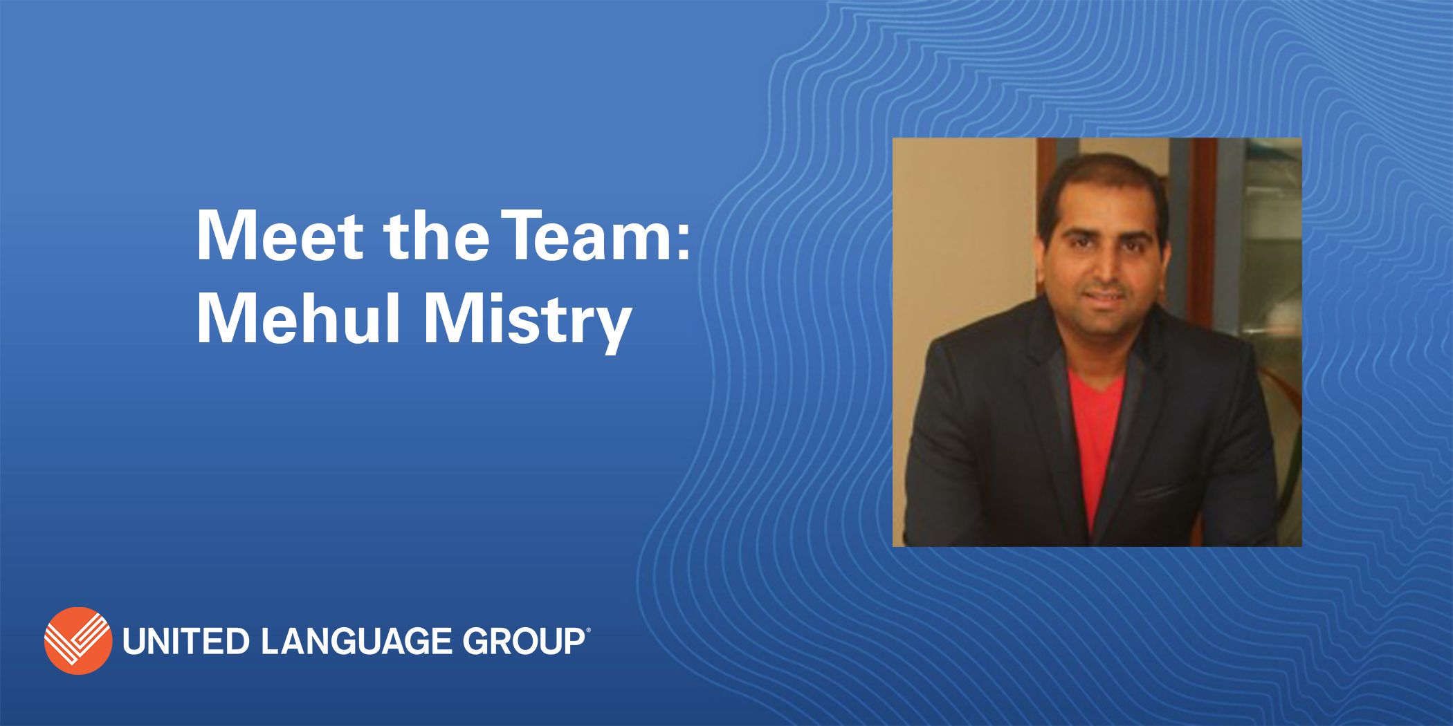Mehul Mistry Meet the Team